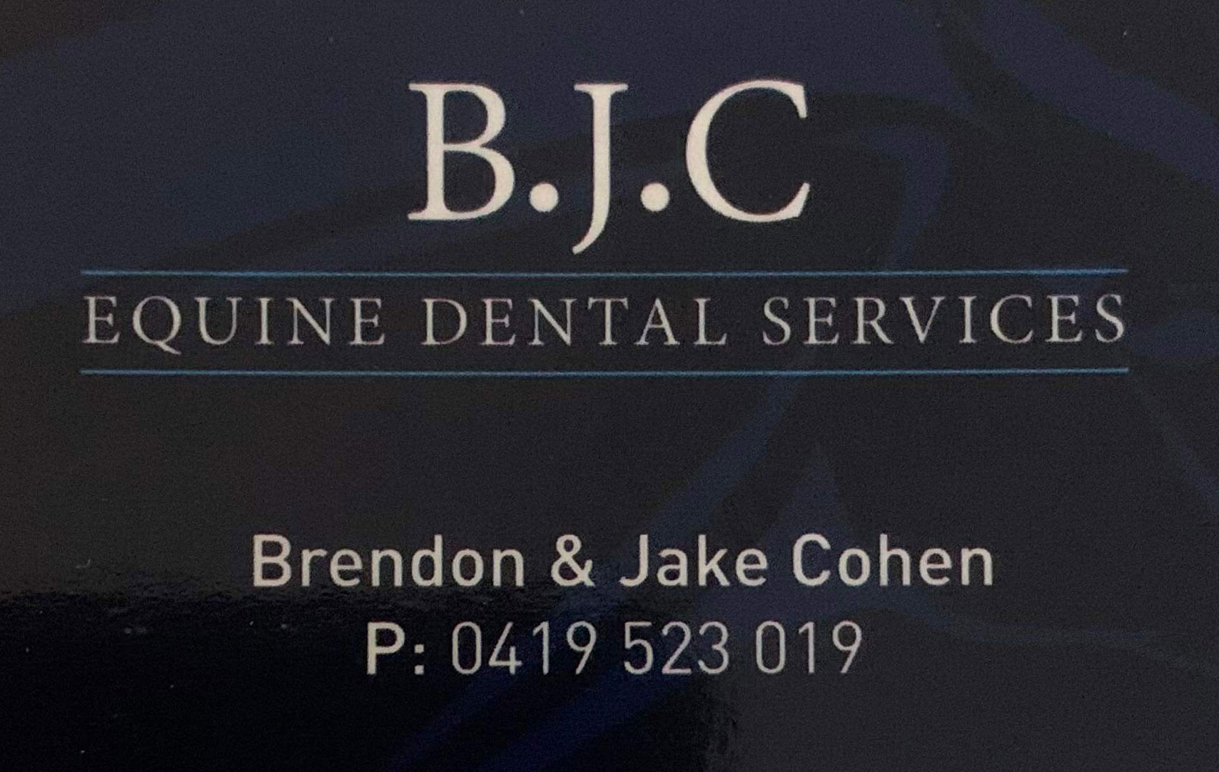 BJC Equine Dental Services